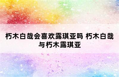 朽木白哉会喜欢露琪亚吗 朽木白哉与朽木露琪亚